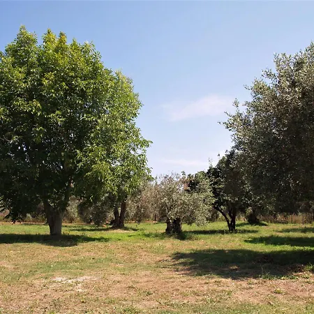 Tatil Evi Ilioni House Skopelos
